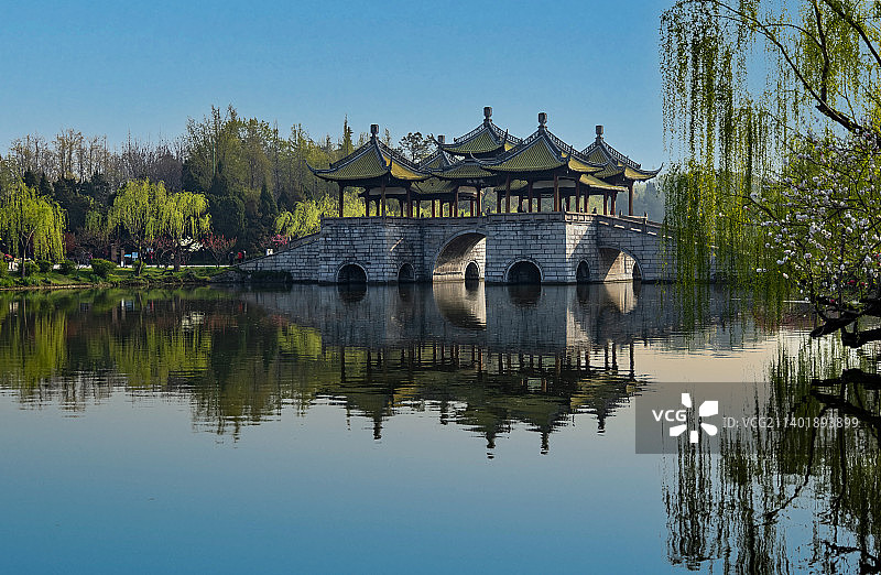 花开五亭桥畔图片素材