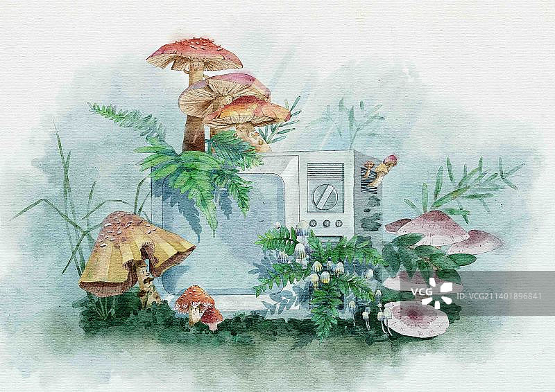 电视机里长出了蘑菇森林图片素材