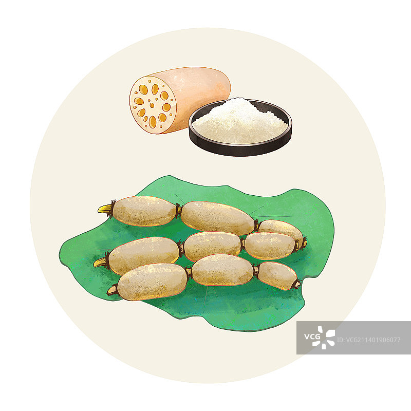 手绘水彩蔬菜莲藕插画图片素材