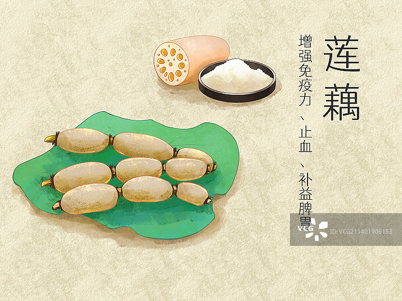 手绘水彩蔬菜莲藕插画图片素材