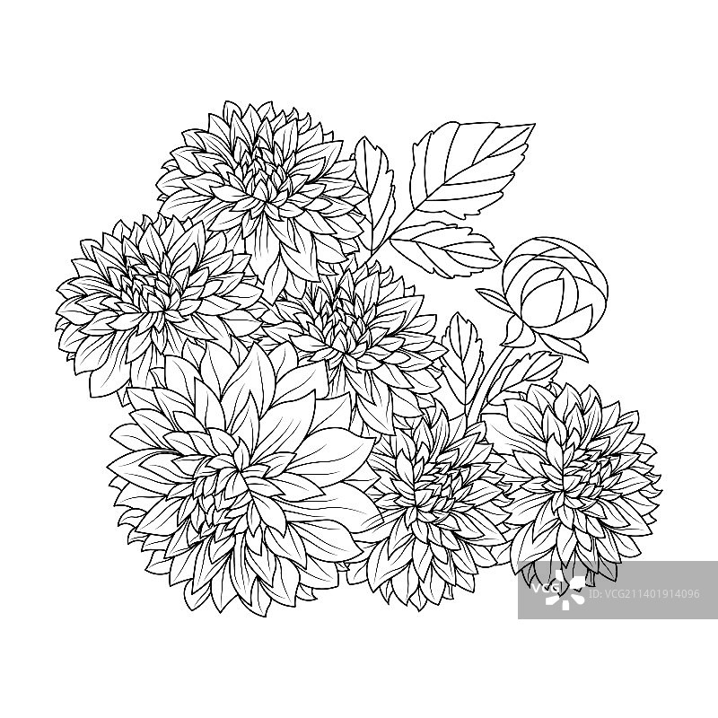 涂鸦艺术风格的大丽花图片素材