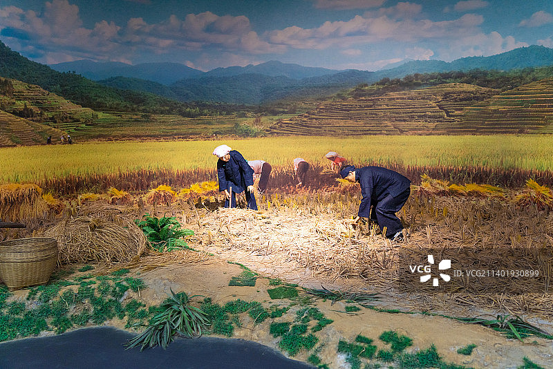 广西民族博物馆展示的广西民族文化图片素材