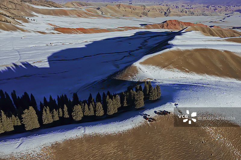 严寒松树图片素材