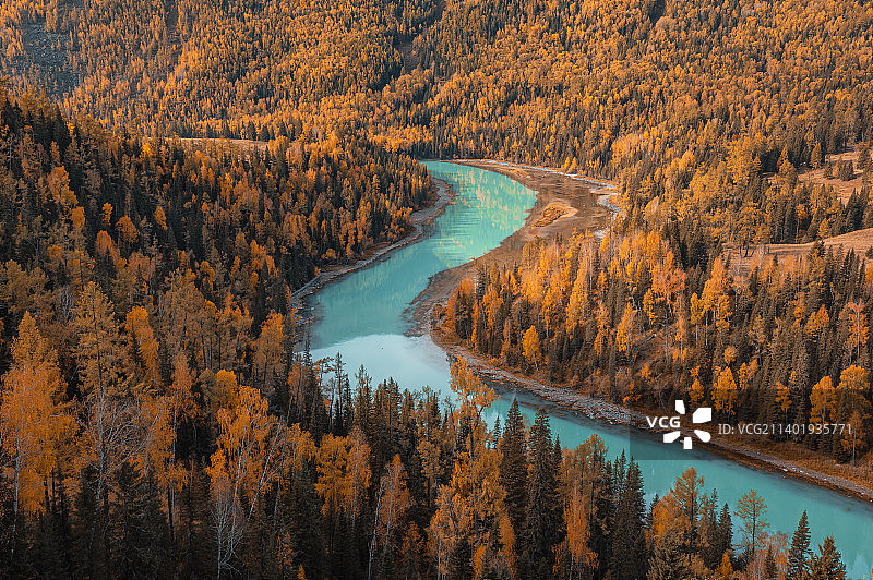 喀纳斯月亮湾，喀纳斯秋天，秋天的喀纳斯三湾，秋天的森林与河流图片素材