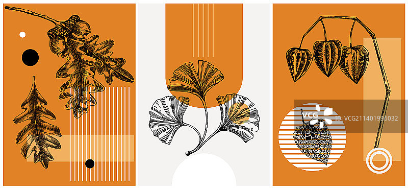 秋季手绘树叶拼贴风格素材图片素材