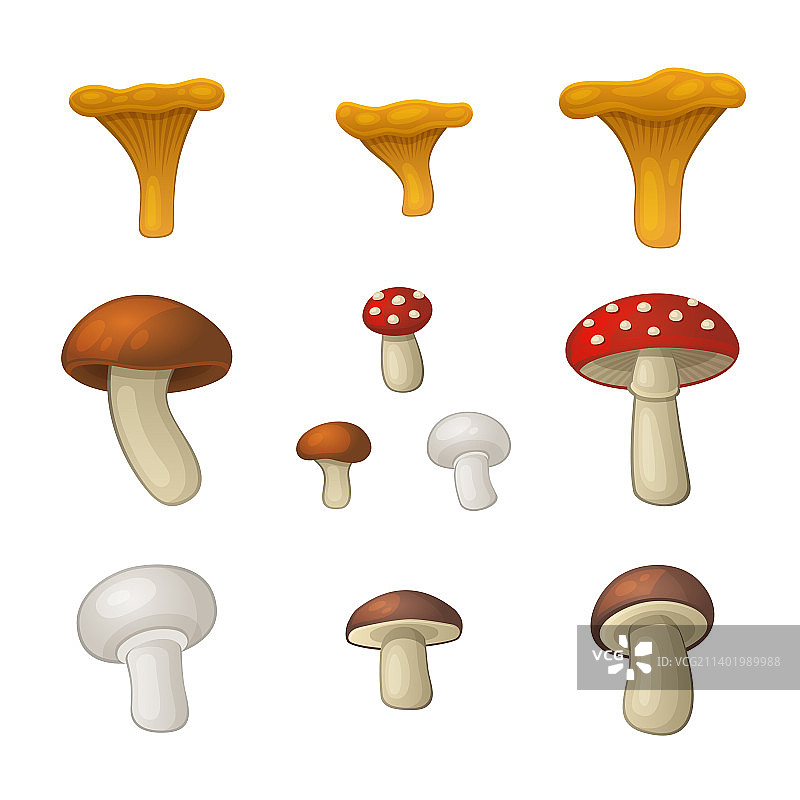 白色背景上的蘑菇图标集图片素材