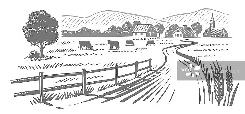 草地上吃草的奶牛手绘草图图片素材