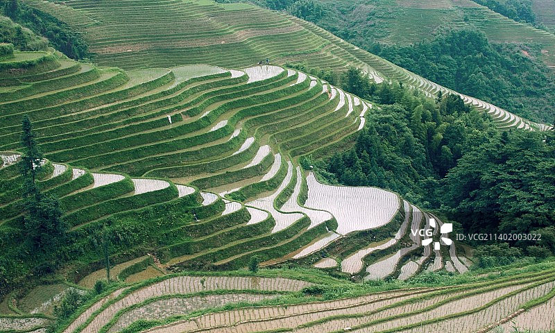 梯田图片素材