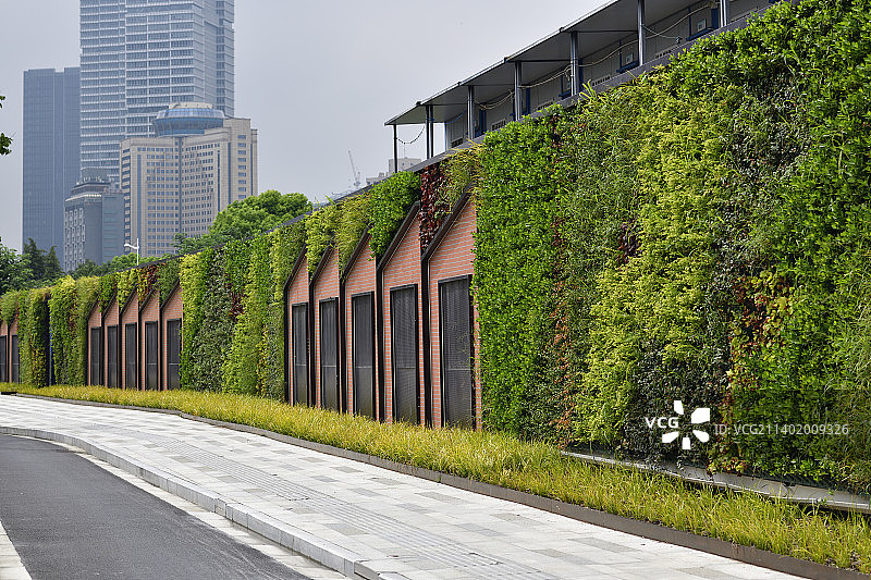 现代城市建筑和道路垂直绿化图片素材