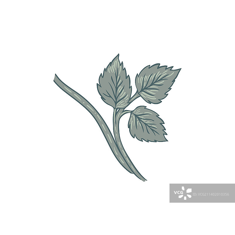 复古花卉元素图片素材