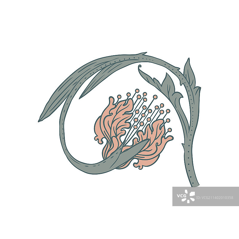 复古花卉元素图片素材