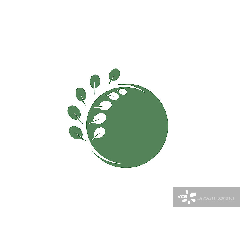 辣木叶图标设计模板图片素材