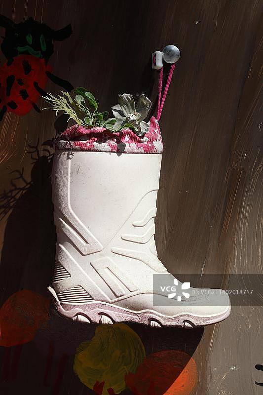 DIY：旧鞋改造花盆（德国，欧洲）图片素材