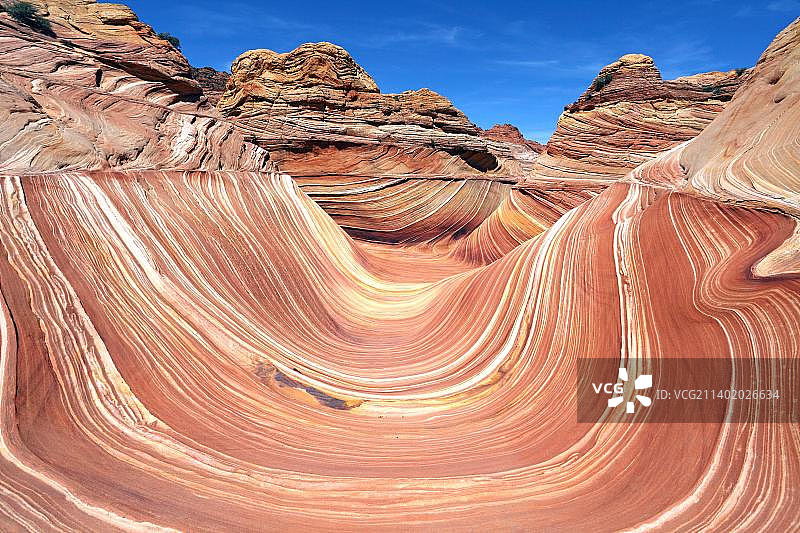 美国亚利桑那州朱红悬崖荒野的北狼丘波浪图片素材