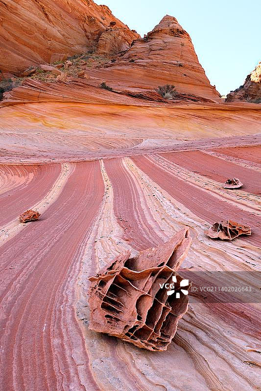 坟场(Boxwork)，郊狼Butte北，朱红色悬崖荒野，亚利桑那州，美国，北美图片素材