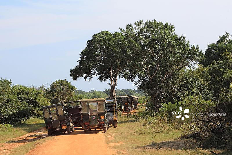 在斯里兰卡雅拉国家公园游玩的游客图片素材