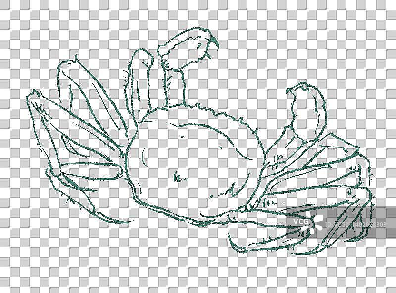 手绘大闸蟹线描插画元素图片素材