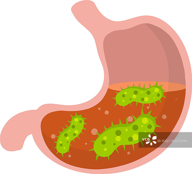 人体内的胃病毒和细菌图片素材