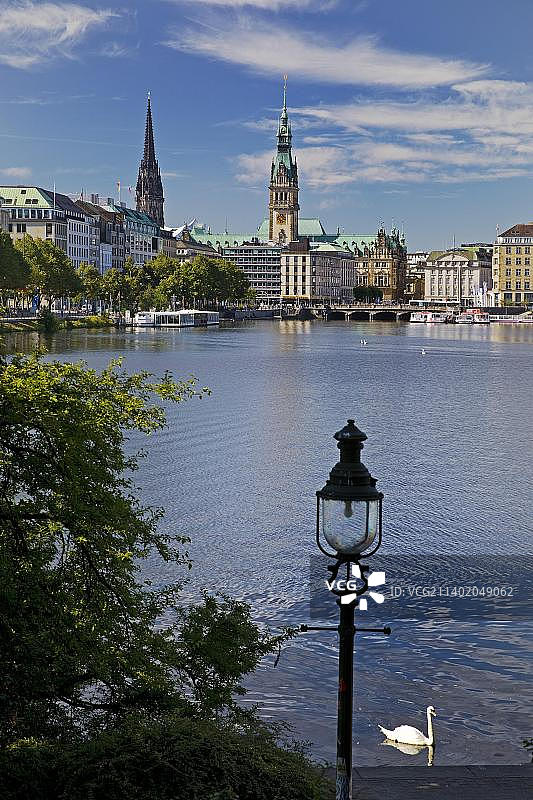 德国汉堡内阿尔斯特湖的天鹅和城市天际线图片素材