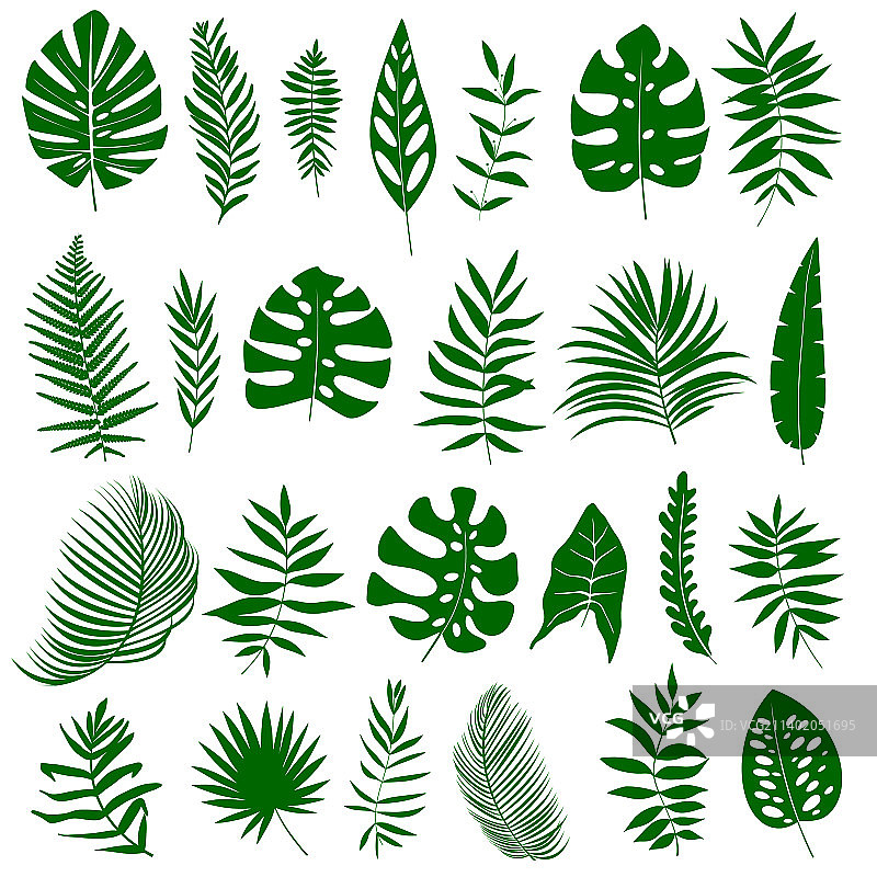 热带树叶剪影图案图片素材