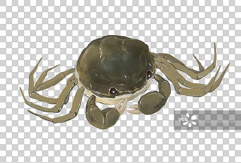 大闸蟹插画青蟹元素图片素材