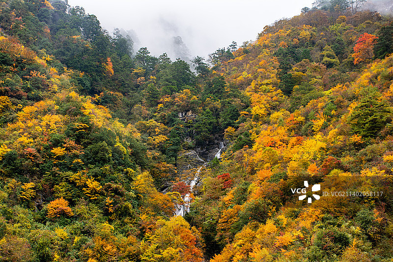 卧龙的秋天图片素材