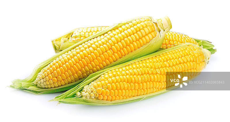 白色背景下的玉米特写图片素材