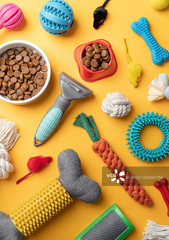 宠物护理概念：黄色背景上的各种宠物配件和工具图片素材