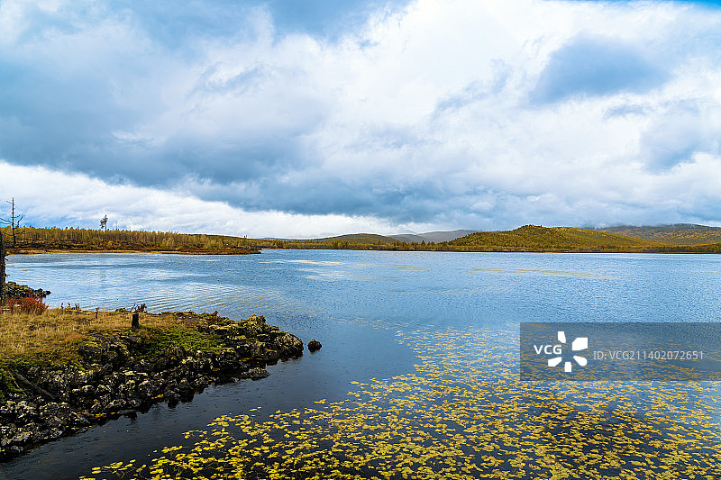 雨中杜鹃湖图片素材