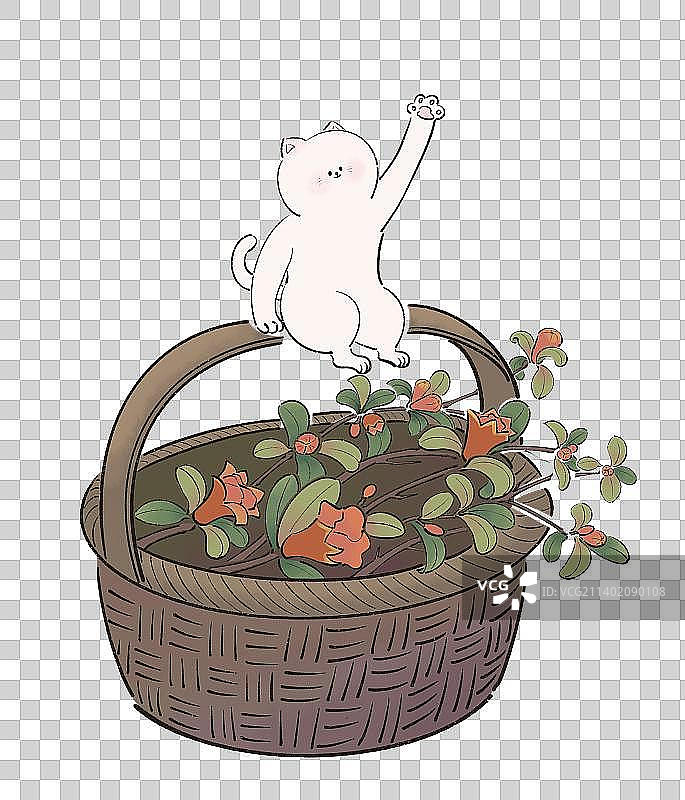 猫咪摘石榴花图片素材