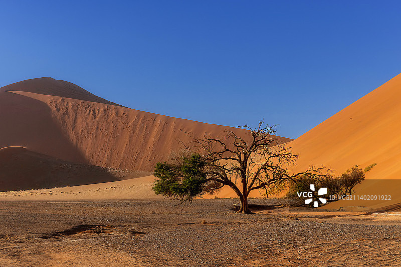 纳米比亚纳米布沙漠的绚丽色彩图片素材