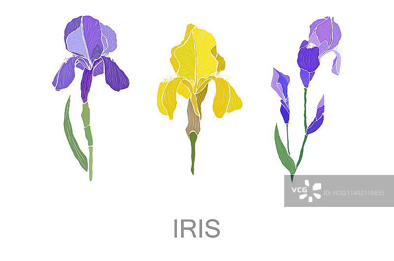 手绘花卉装饰图片素材
