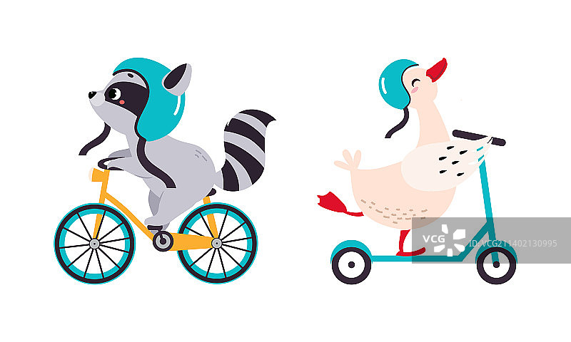 可爱的幼崽享受浣熊骑自行车图片素材