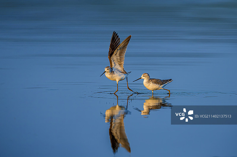 形影相随图片素材