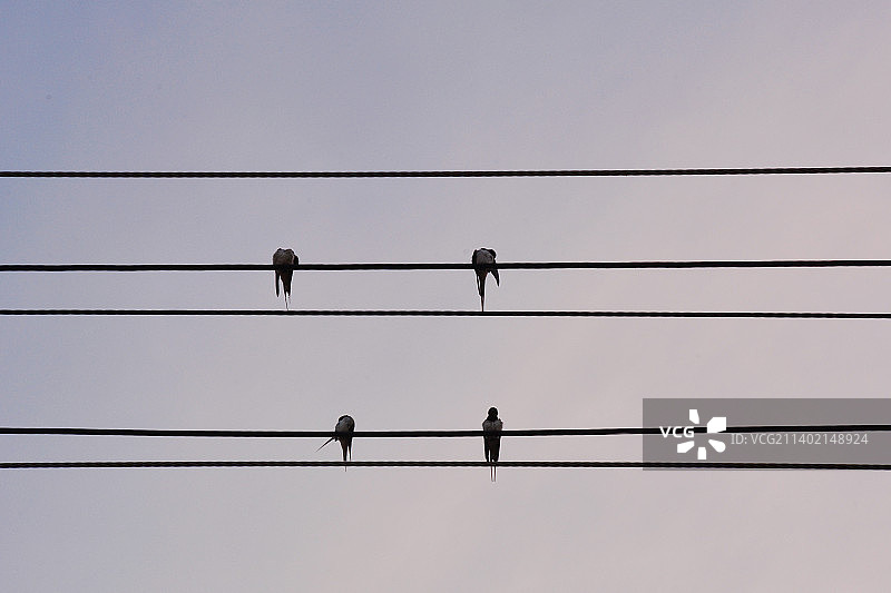 听不懂的优美音符图片素材