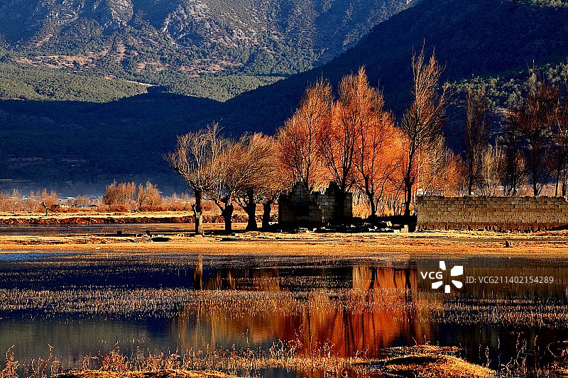 拉市海秋色图片素材