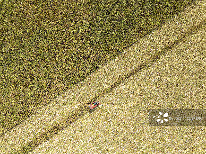 正扣航拍标准化农田收割玉米图片素材