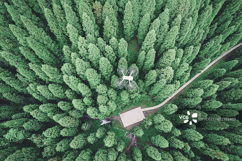 成都中坝森林图片素材