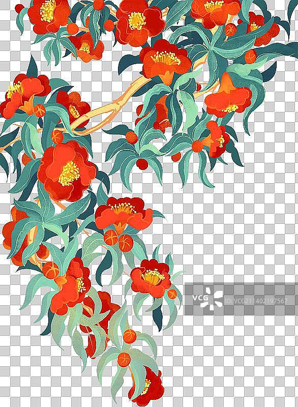 盛开的红色石榴花手绘插画图片素材