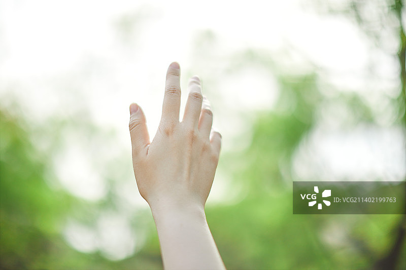 森林中的日本女人的手图片素材