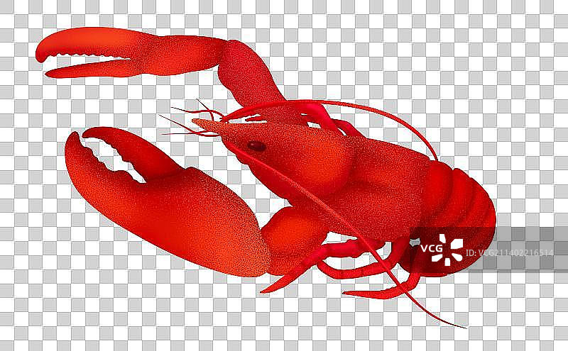 卡通小龙虾插画元素图片素材