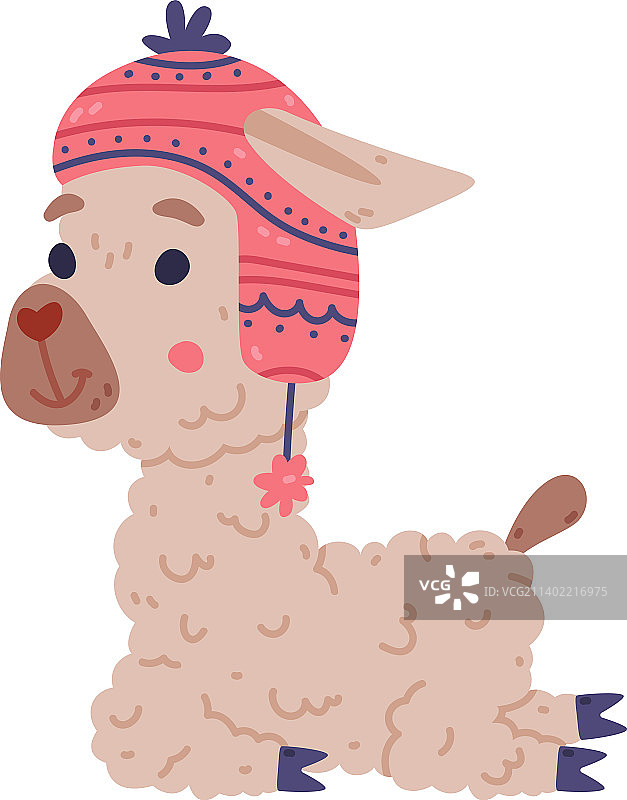 戴针织帽的可爱小羊驼图片素材