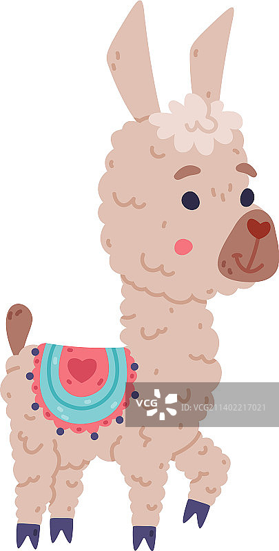 可爱的毛茸茸小羊驼图片素材