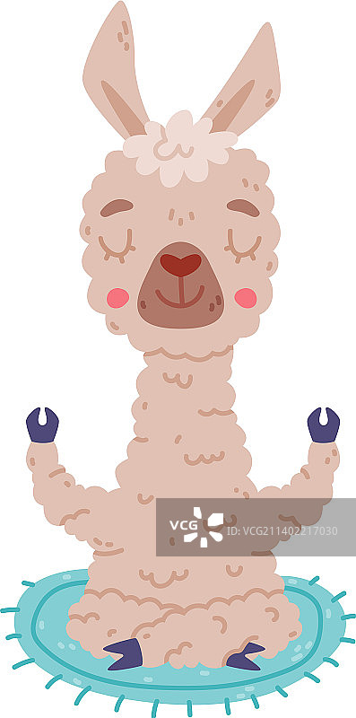 冥想姿势中可爱放松的骆马羊驼图片素材