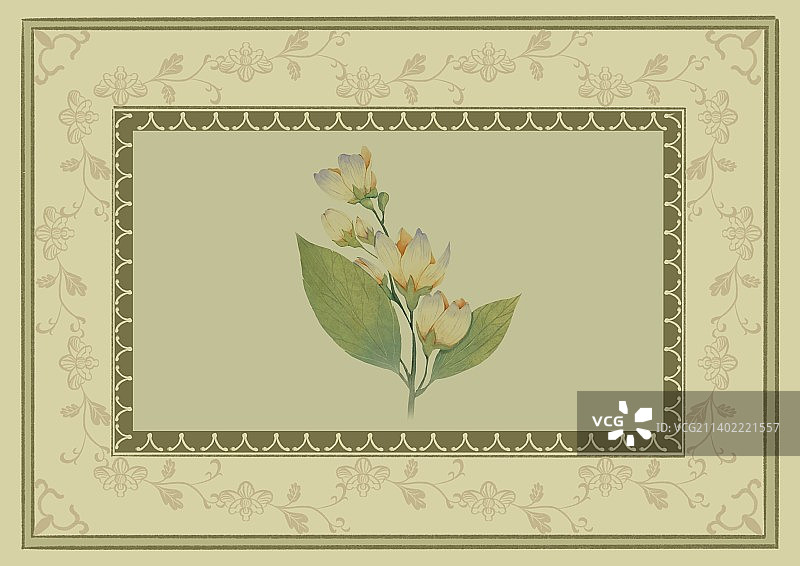 包装插画图片素材