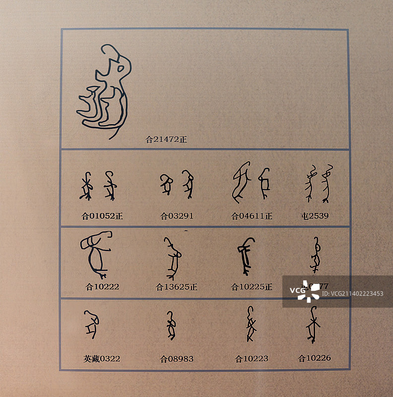 象字的写法，象文化，象文化工艺品图片素材