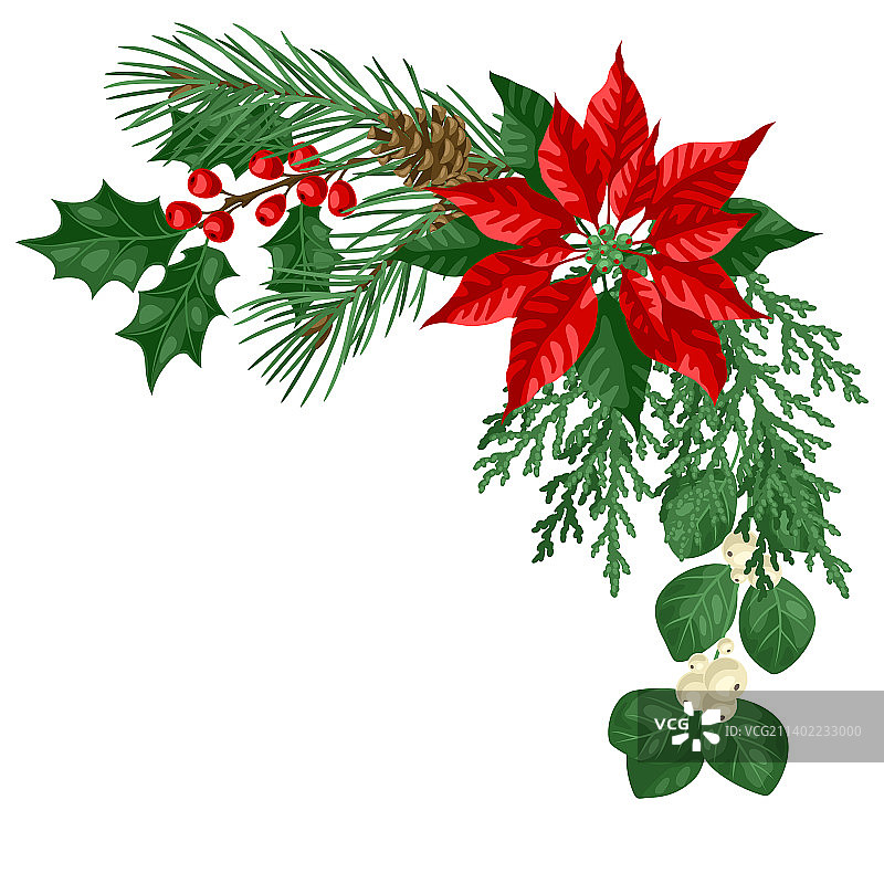 带有冬季植物的圣诞节元素图片素材