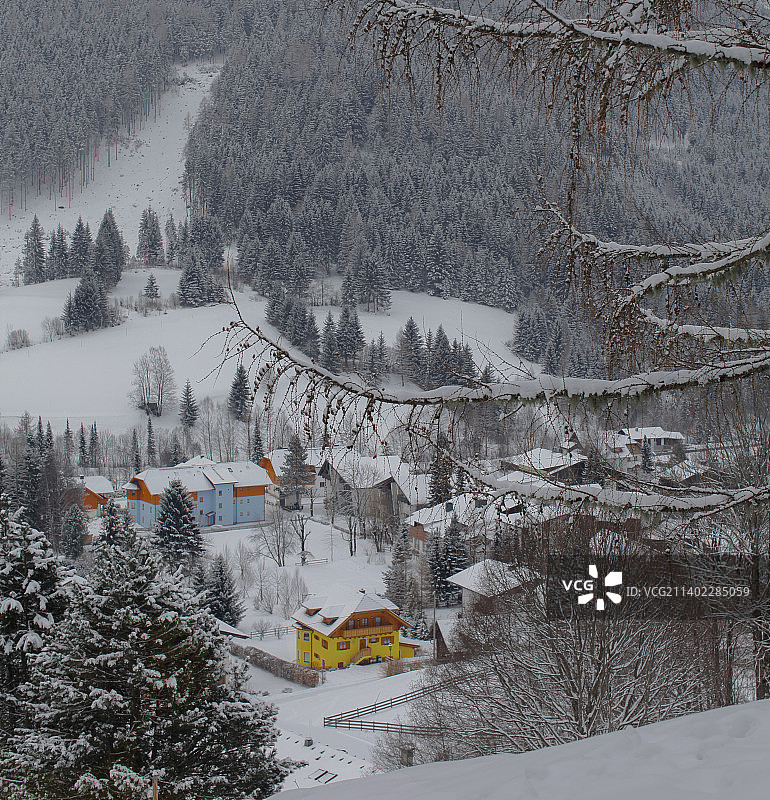 奥地利雪景树木高角度视图图片素材