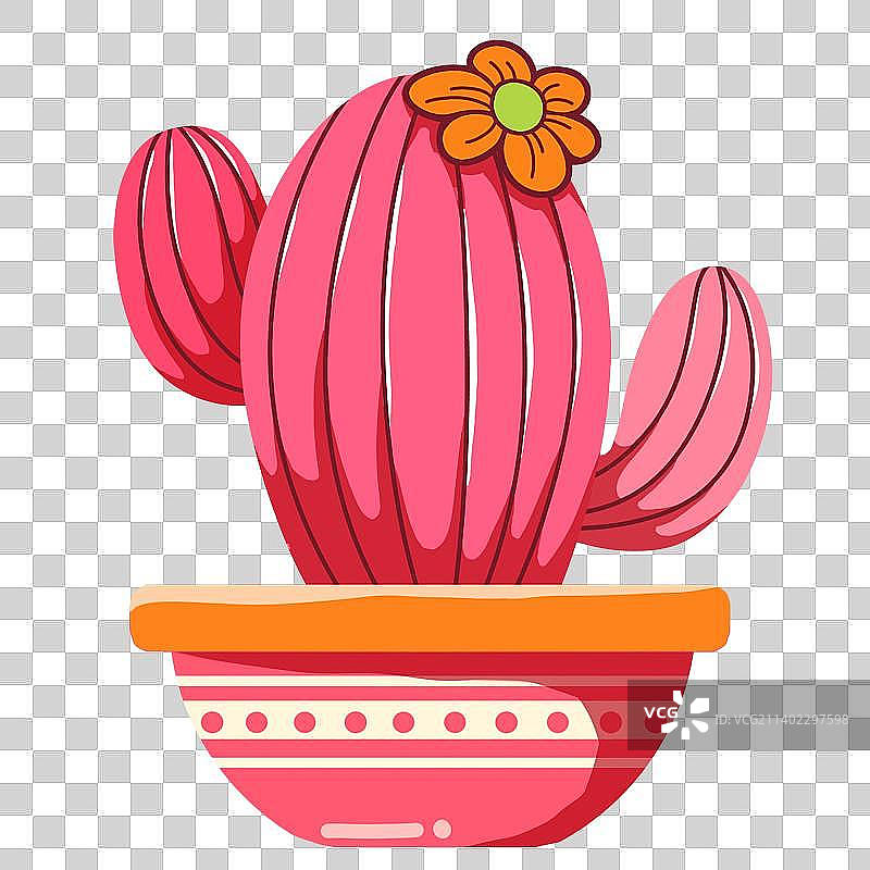 彩色仙人掌盆栽图片素材