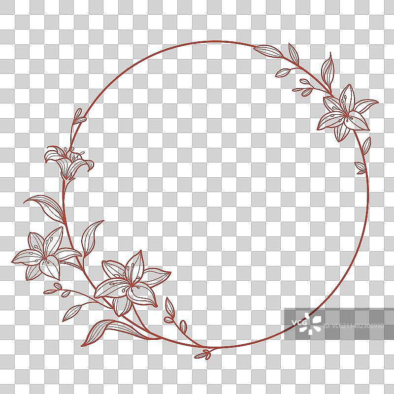线稿百合花圆形边框图片素材